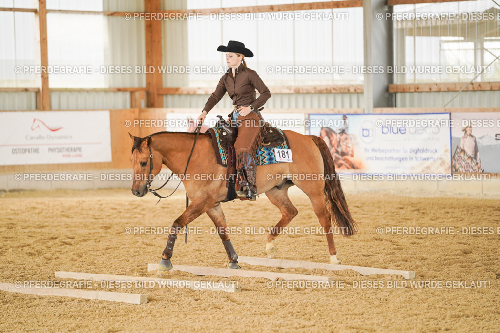 DSC04690 | Pferdegrafie