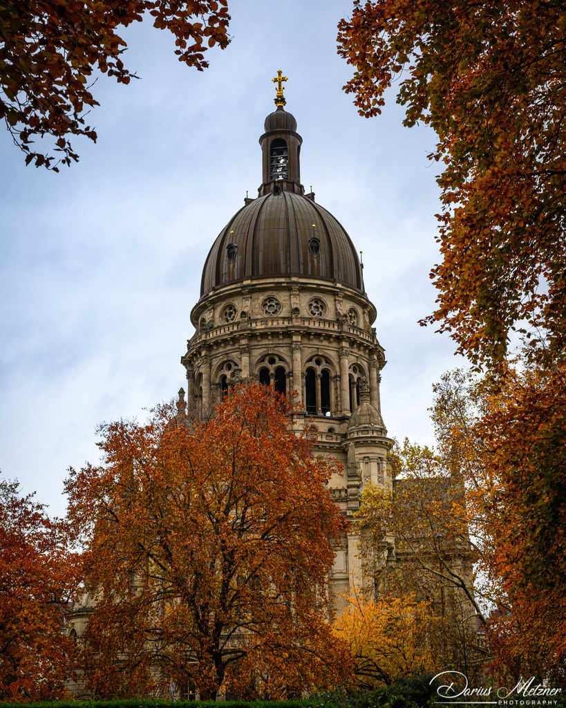 DSC_4361 | Fotografien, Fotos und Bilder aus Mainz, Frankfurt, Wiesbaden und anderen Orten auf der Welt - Fotografiert von Darius Metzner