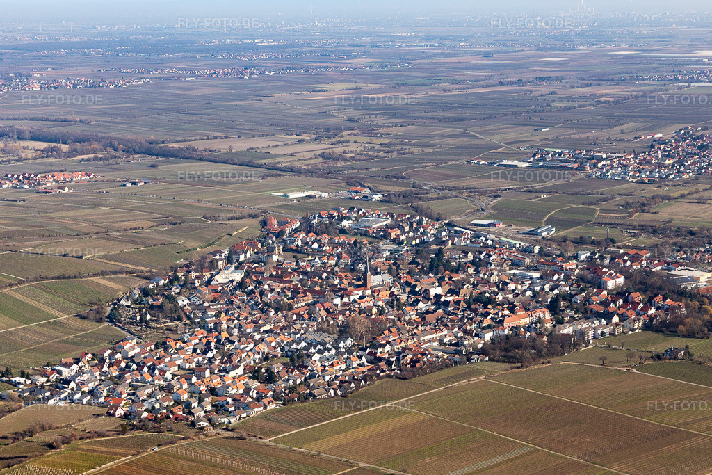 Luftbild: Ortsbereich und Umgebung in Deidesheim im Bundesland Rheinland-Pfalz in Deutschland. Foto: IMG_112789.jpg vom 27.02.2019 durch Werner Riehm/FLY-FOTO.de