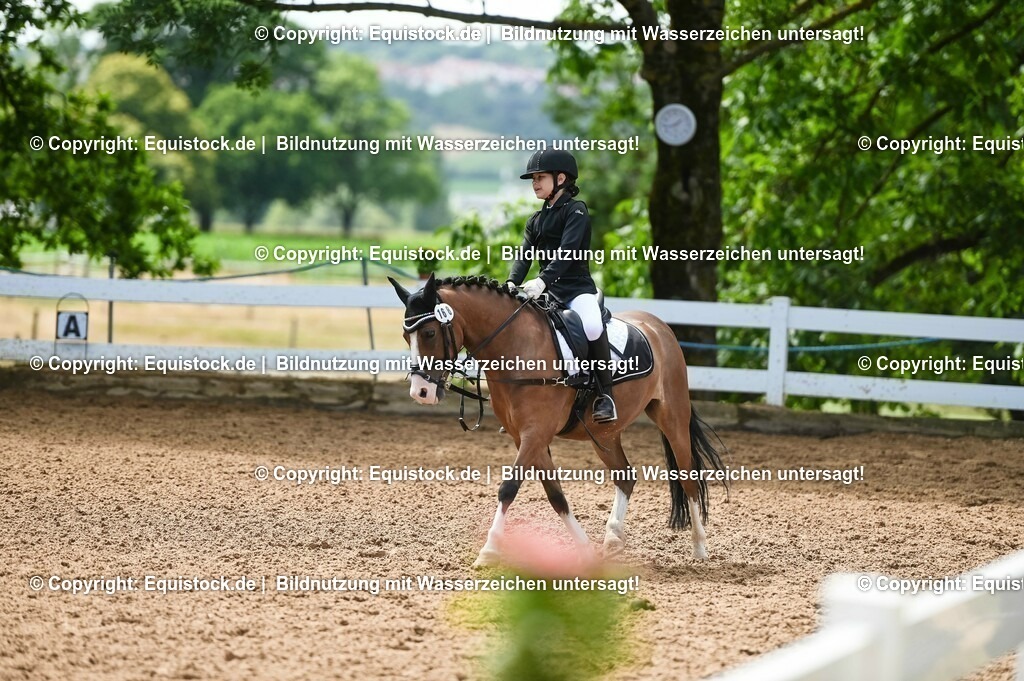 20230716_10-3_Reiter-WB Schritt - Trab - Galopp_0146 | equistock