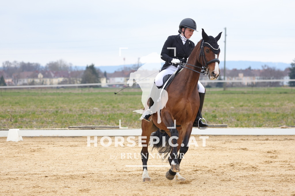 0P6A5236 | Willkommen bei Brunnmayr - Design & Fotografie – Ihrem Spezialisten für Reitturniere und Pferdeveranstaltungen in Oberösterreich, Salzburg und Bayern! Seit über 17 Jahren sind wir leidenschaftlich dabei.