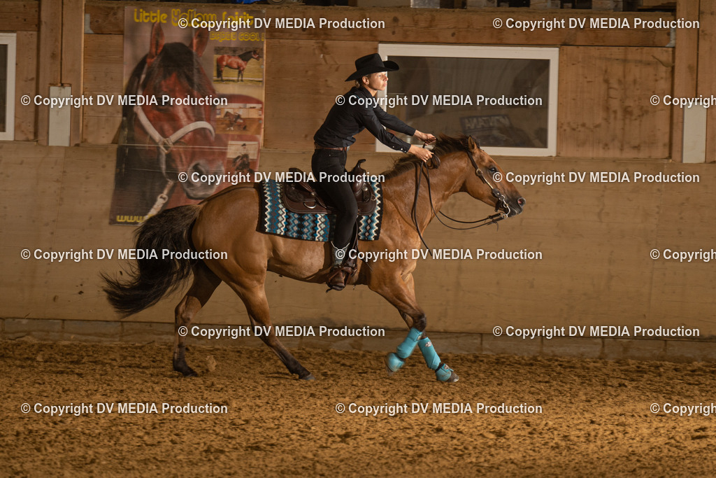 LAU00332 | dv-media-shop - Realisiert mit Pictrs.com