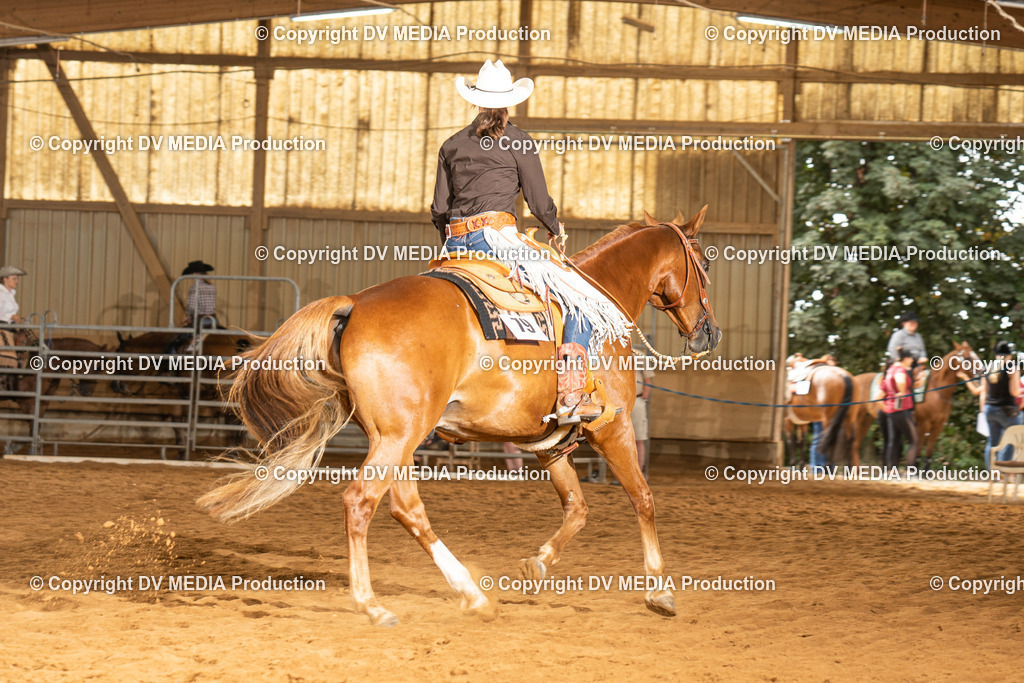 NID01481 | dv-media-shop - Realisiert mit Pictrs.com