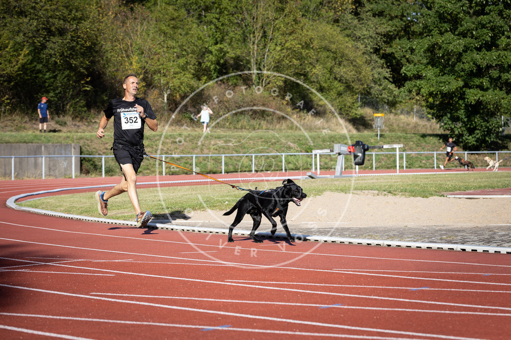 Pfotenfotografie_DV3A9824 | Hundefotografie, Tierfotograf, Pfotenfotografie, Fotoshooting Hund, Hunde Portrait, Hundesport, Hundeportraits, Heideshooting, Hunde, Sportfotograf, Hundefotograf, Turnierhundsport, THS,  - Realisiert mit Pictrs.com