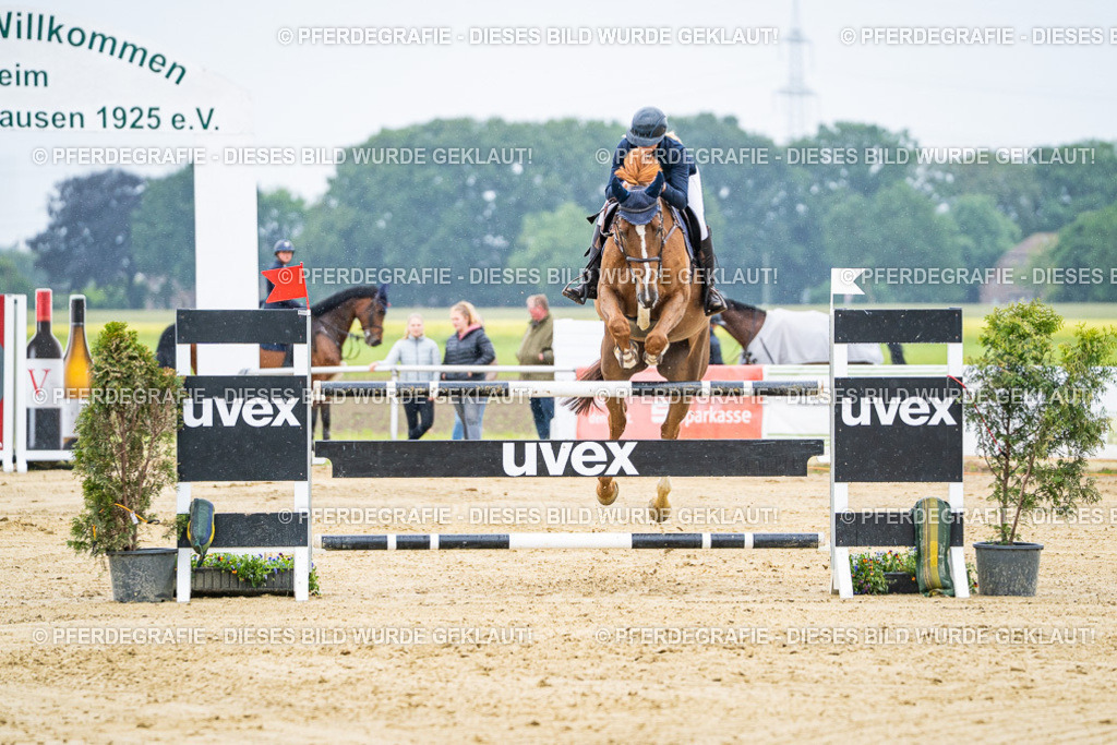 DSC07936 | Pferdegrafie