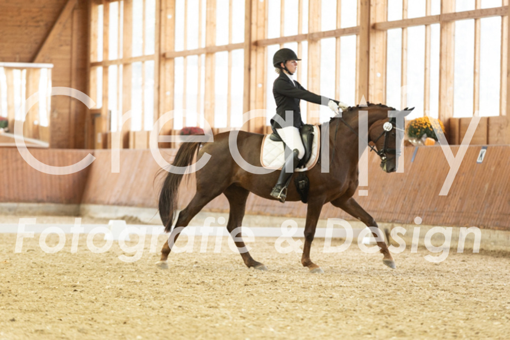 IMG_2003 | Creatify Fotografie