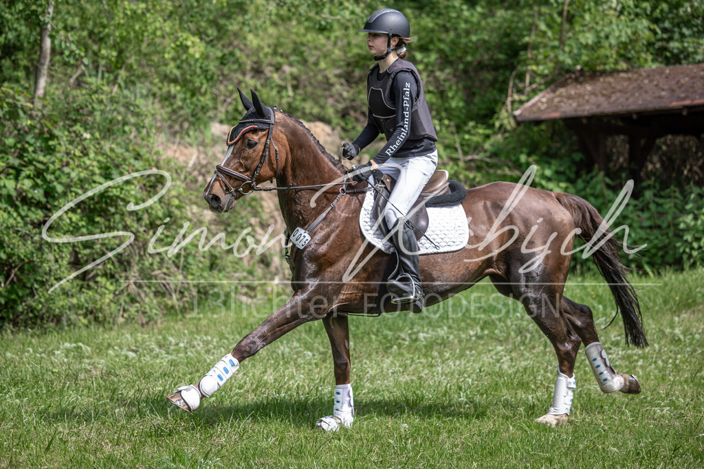 20260523-_3LI9342 | Tierfotografie Pferde, Hunde, Katzen, Haustiere.
Turnierfotografie Reitturniere, Reiten, Springreiten, Dressur in Hanau, dem Main-Kinzig-Kreis und dem Rhein-Main- Gebiet um Frankfurt