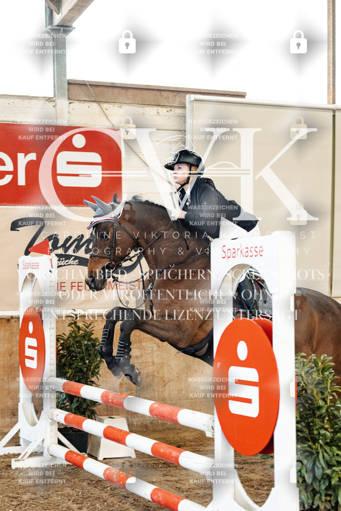 CK904374 | Turnierfotografie Pferdefotografie Trier Rheinland-Pfalz Pferdesport Reitsport Tierfotografie Sportfotografie Pferdevideo Pferdevideografie Equestrianvideography equestrianphotography  - Realisiert mit Pictrs.com