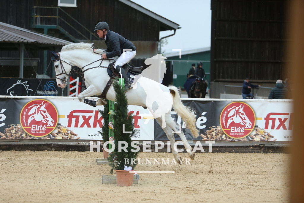 DL2Q6693 | Willkommen bei Brunnmayr - Design & Fotografie – Ihrem Spezialisten für Reitturniere und Pferdeveranstaltungen in Oberösterreich, Salzburg und Bayern! Seit über 17 Jahren sind wir leidenschaftlich dabei.