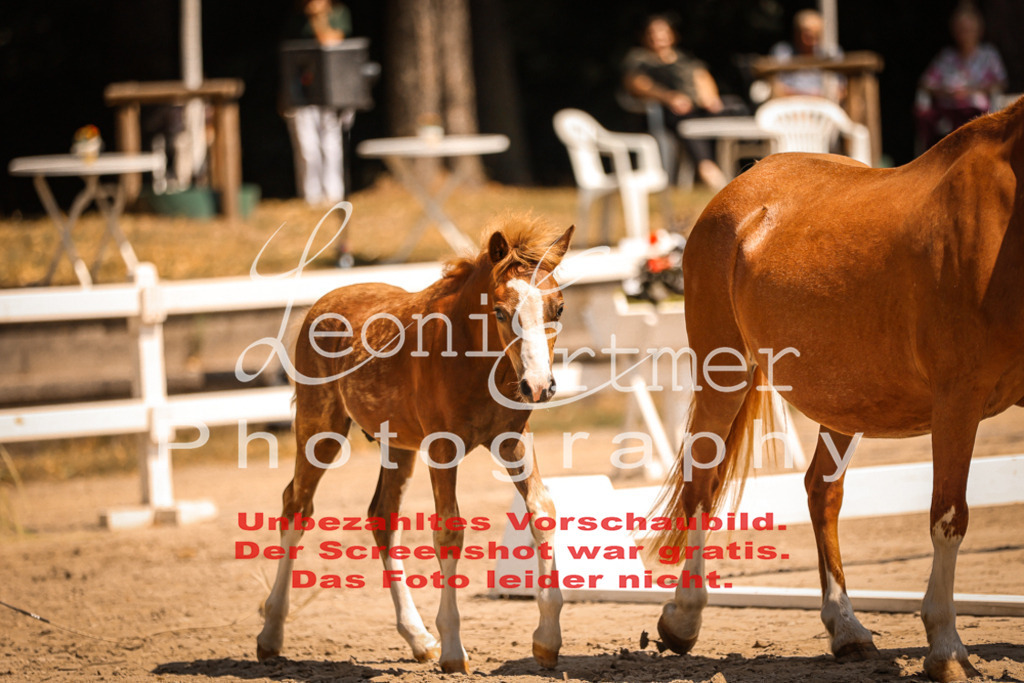 04.DoWP00001 | Leoni Ertmer Photography - Realisiert mit Pictrs.com