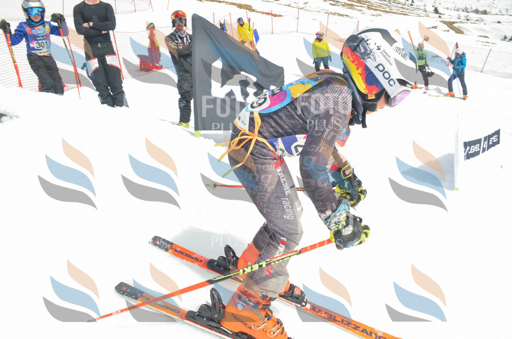 _ELE8075 | holidayphoto