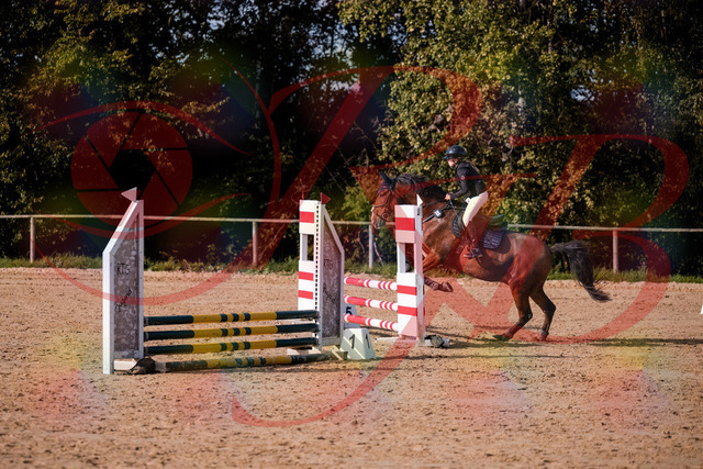 2026_10_03_Siefer-Hof_154659_Z81_66070673 | Professionelle Reitsport-, Turnier- und Eventfotografie von Robert Broda. Galerien mit ausgewählten und bearbeiteten Bildern direkt online ansehen und bestellen.