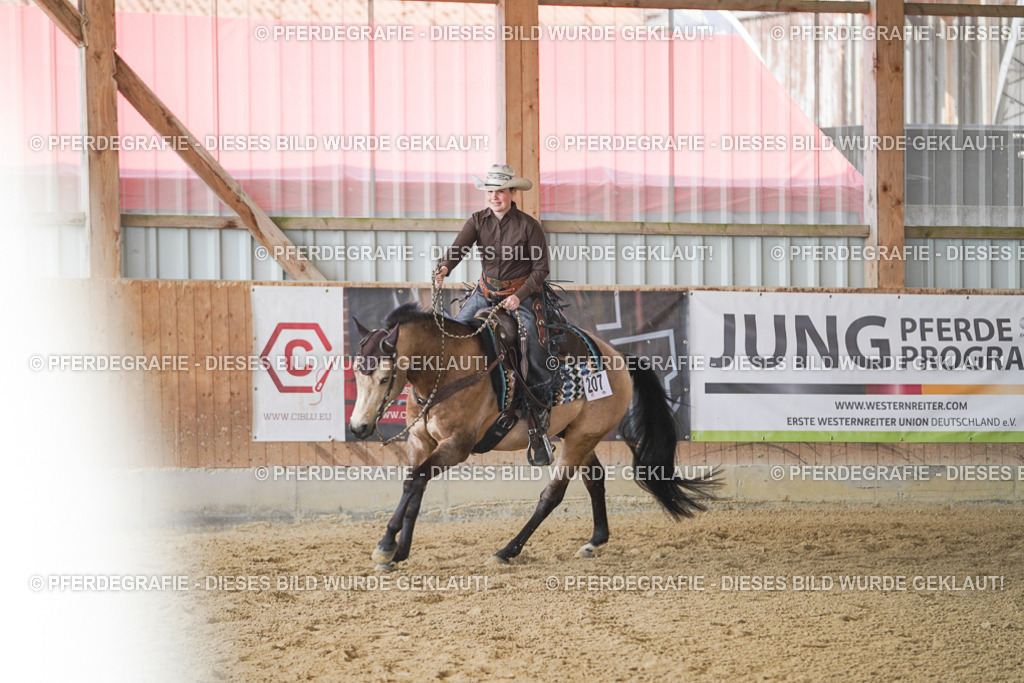 DSC00199 | Pferdegrafie