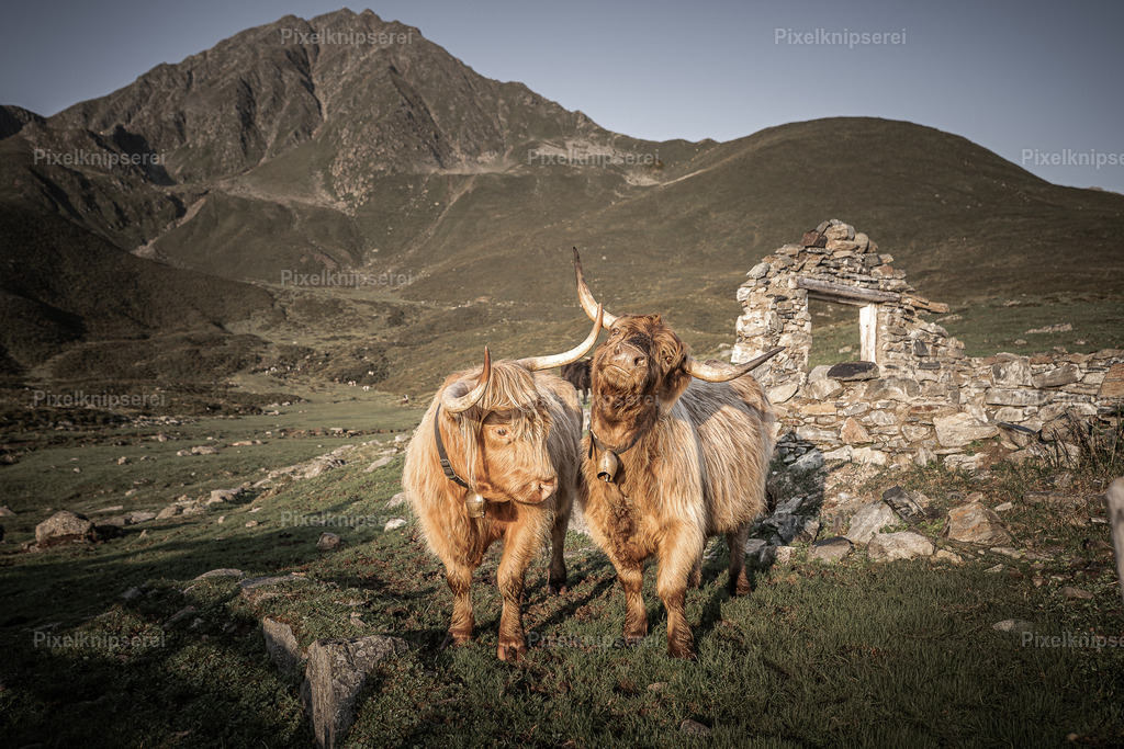 20240824-unbenannt-51 | Fotograf Tirol Imst Pixelknipserei - Realisiert mit Pictrs.com