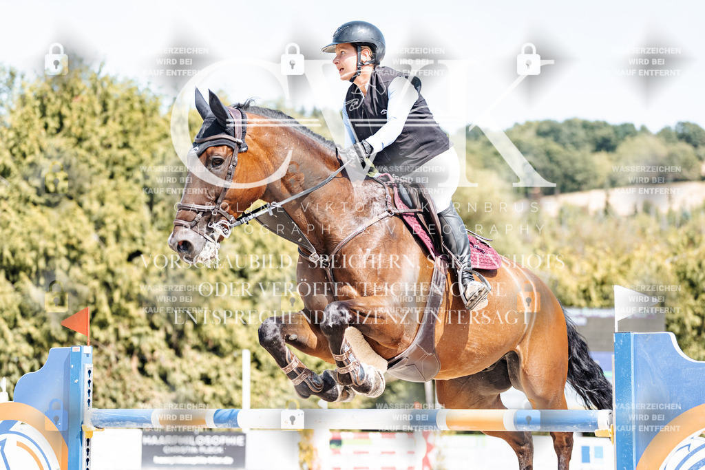 CK905024 | Turnierfotografie Pferdefotografie Trier Rheinland-Pfalz Pferdesport Reitsport Tierfotografie Sportfotografie Pferdevideo Pferdevideografie Equestrianvideography equestrianphotography  - Realisiert mit Pictrs.com
