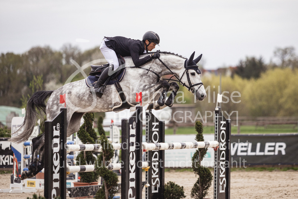 250417_Frühlingsfest_Springpferde-M-119 | Deine schönsten Turniermomente als professionelle Fotos! Entdecke hochwertige Pferdesport-Fotografie im Online-Shop. Jetzt Fotos finden & bestellen!