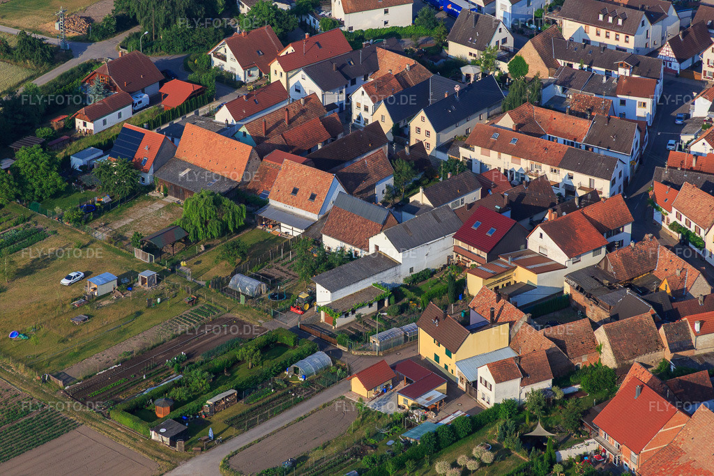 Luftbild: Häckgasse in Zeiskam im Bundesland Rheinland-Pfalz in Deutschland. Foto: IMG_080632.jpg vom 12.06.2015 durch Werner Riehm/FLY-FOTO.de