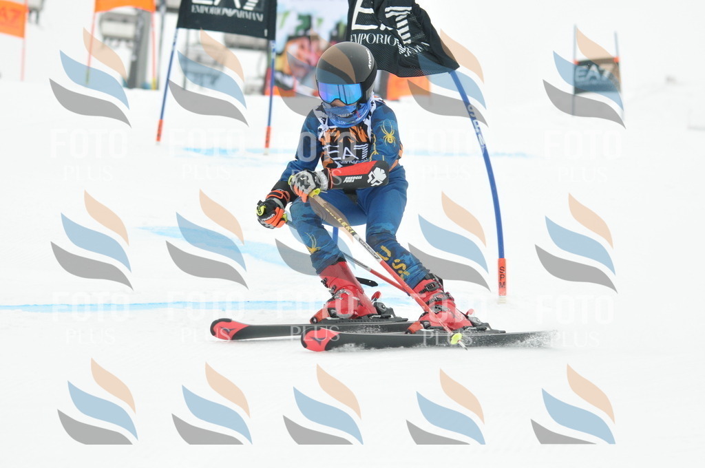 DSC_8015 | holidayphoto