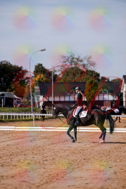2026_10_03_Siefer-Hof_115444_Z81_94551597 | Professionelle Reitsport-, Turnier- und Eventfotografie von Robert Broda. Galerien mit ausgewählten und bearbeiteten Bildern direkt online ansehen und bestellen.