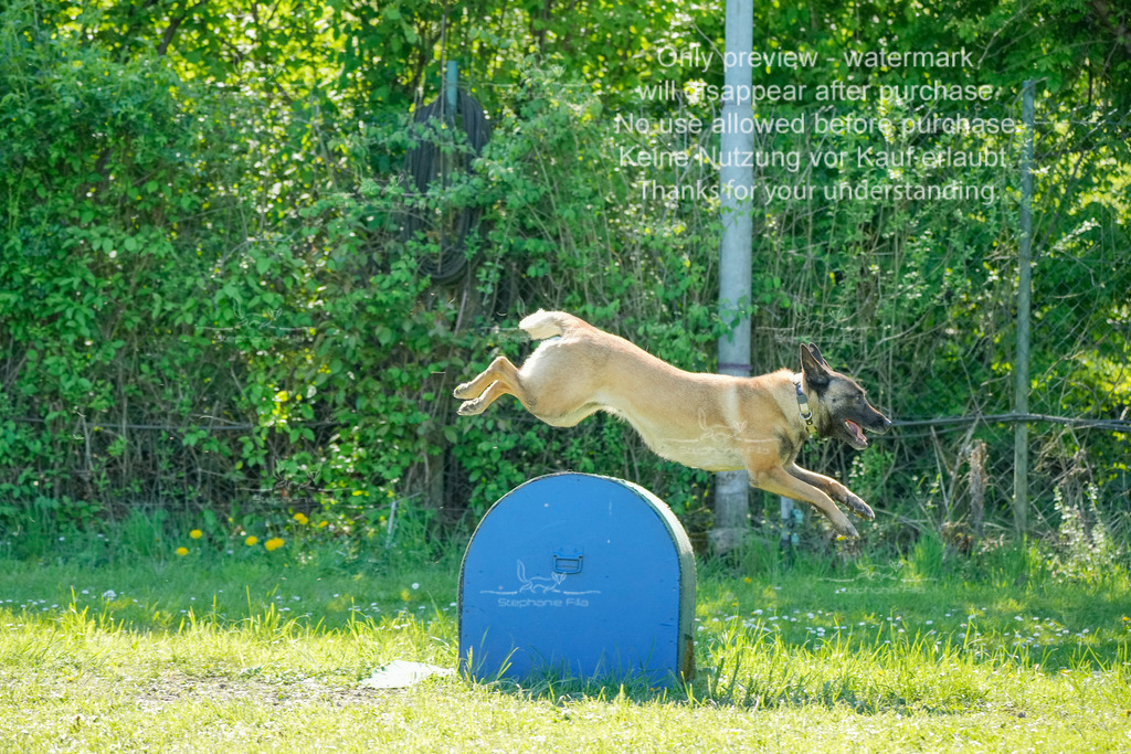 Sa_VK3_03-6 | stephaniefillaphotographie - Realisiert mit Pictrs.com