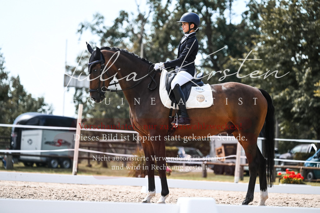 DSC_5748 | Pferde- und Turnierfotografie in Westsachsen. Pferdeportraits, Auftragszeichnungen und intuitive Kunst.