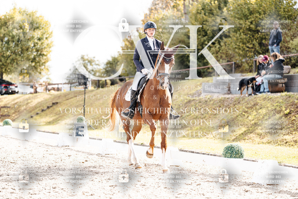 CK901873 | Turnierfotografie Pferdefotografie Trier Rheinland-Pfalz Pferdesport Reitsport Tierfotografie Sportfotografie Pferdevideo Pferdevideografie Equestrianvideography equestrianphotography  - Realisiert mit Pictrs.com