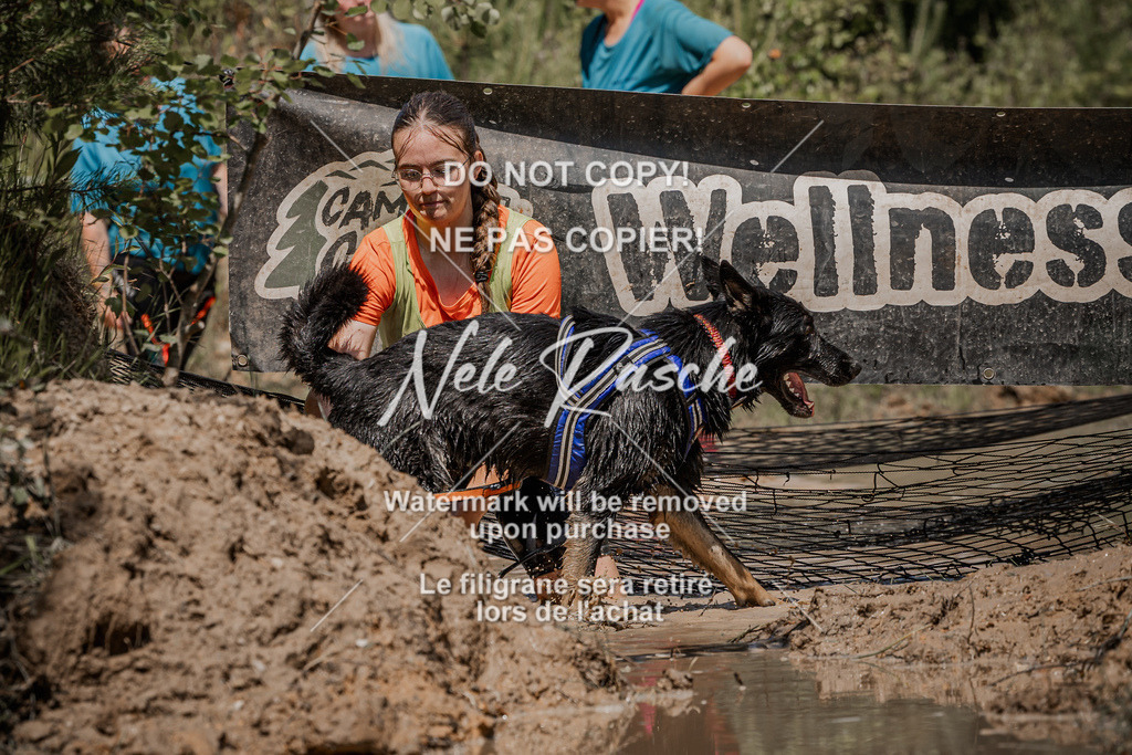 nelerasche_Hoope2026_Sa1300-1330_26 | nelerasche