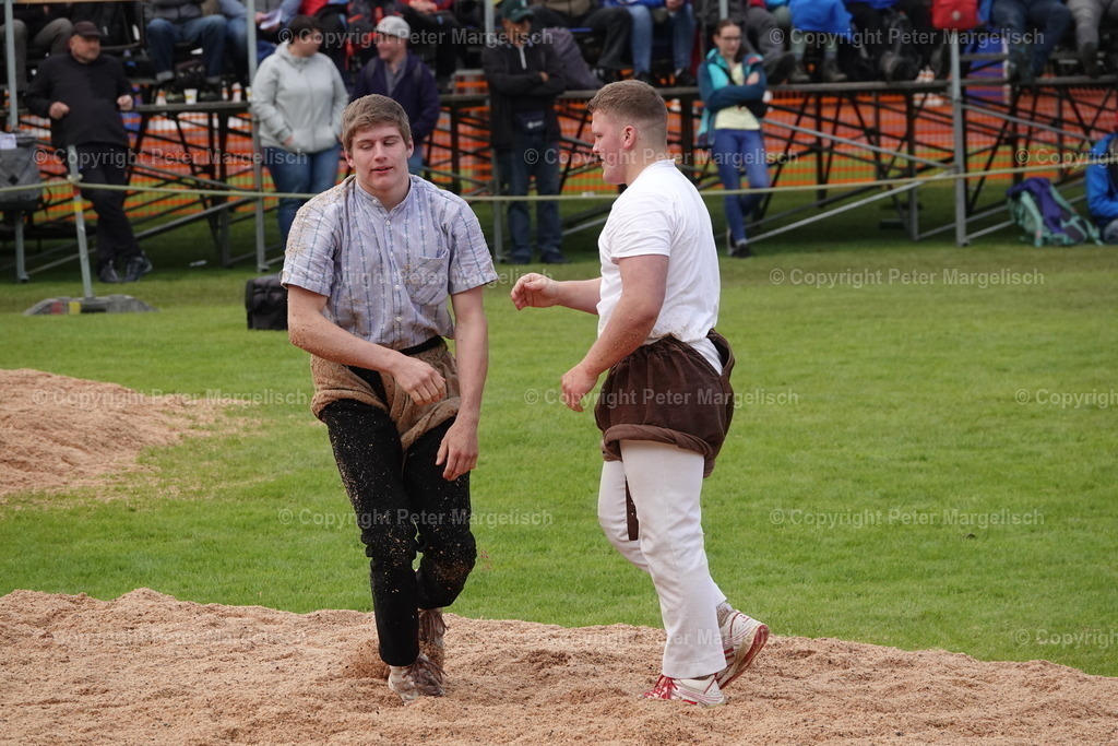 DSC04029 | Schwingen - Realisiert mit Pictrs.com