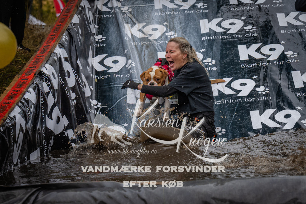 1210_ZZ94611 | kk-dogfotos
