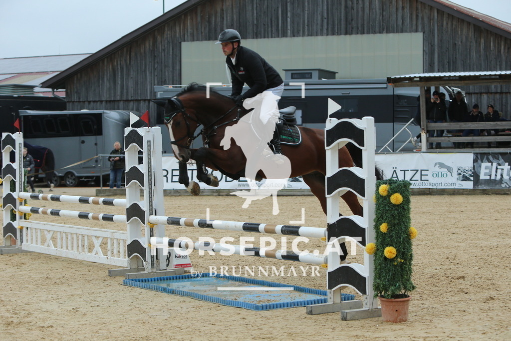DL2Q4101 | Willkommen bei Brunnmayr - Design & Fotografie – Ihrem Spezialisten für Reitturniere und Pferdeveranstaltungen in Oberösterreich, Salzburg und Bayern! Seit über 17 Jahren sind wir leidenschaftlich dabei.