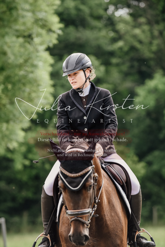 DSC_0741 | Pferde- und Turnierfotografie in Westsachsen. Pferdeportraits, Auftragszeichnungen und intuitive Kunst.