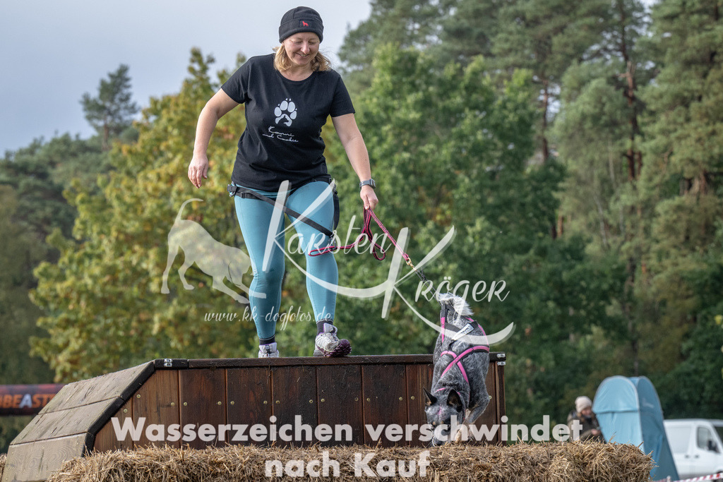 1417-94639 | kk-dogfotos