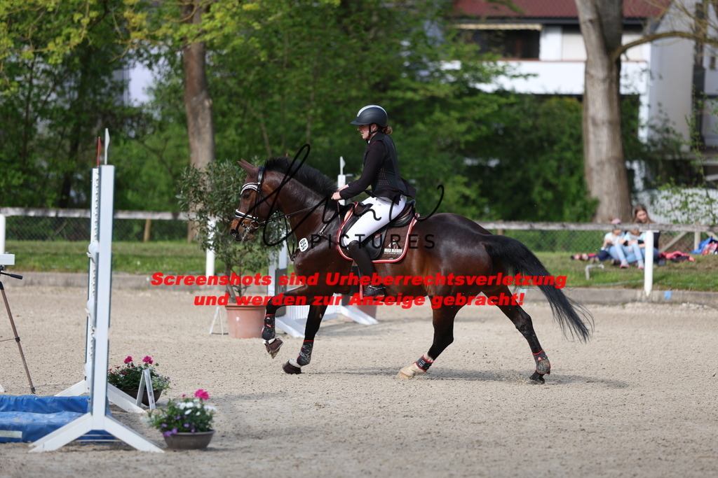 A40A2857 | lmwpictures - Realisiert mit Pictrs.com