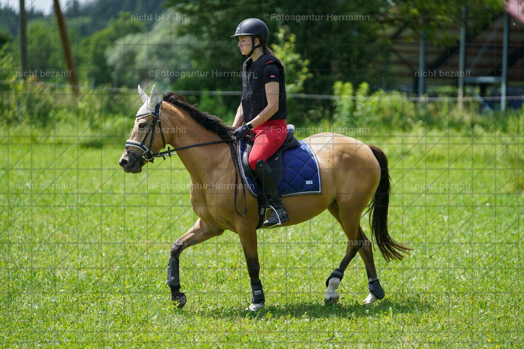 20240622-FAH07225 | Turnierfotografen Bayern, Reitsportbilder aus dem Geländekurs mit Felix Etzel auf dem Gut Waitzacker 2024