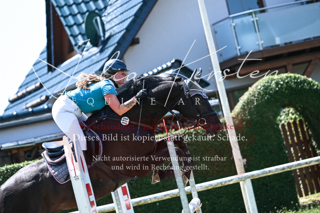 DSC_0081 | Pferde- und Turnierfotografie in Westsachsen. Pferdeportraits, Auftragszeichnungen und intuitive Kunst.