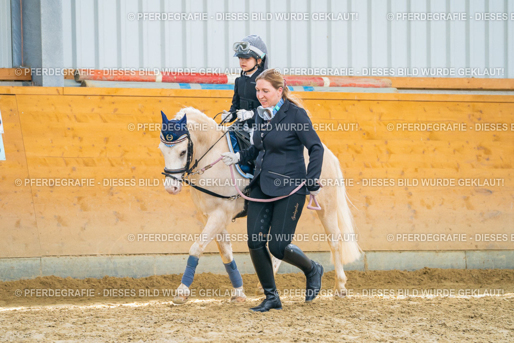 DSC00676 | Pferdegrafie