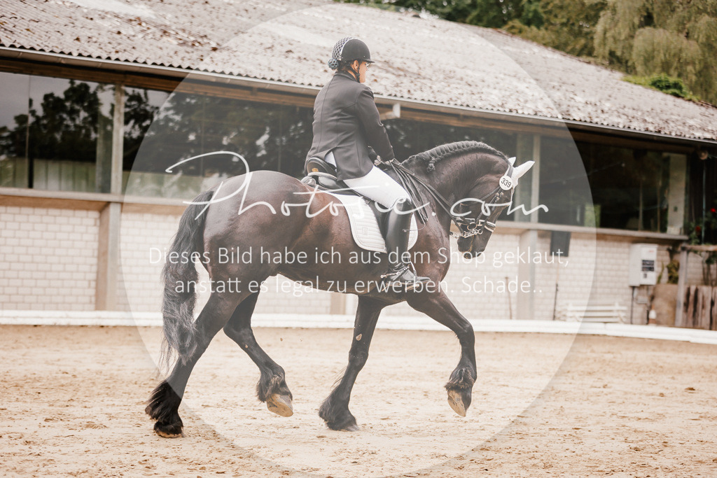 3I6A7744 | Stimmungsvolle Portraits und Reitsportfotografie im Ruhrgebiet und im Münsterland.

Pferdefotografie, Hundefotografie, Tierfotografie, Reportagen, Portraits von Tier und Mensch, Turnierfotografie in Bochum, Recklinghausen, Marl, Haltern am See, Dülmen.. - Realisiert mit Pictrs.com