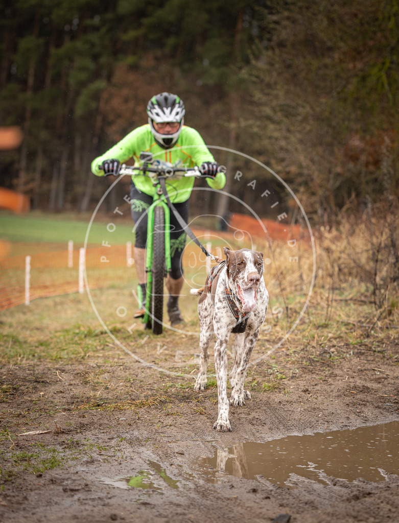 DV3A9426 | Hundefotografie, Tierfotograf, Pfotenfotografie, Fotoshooting Hund, Hunde Portrait, Hundesport, Hundeportraits, Heideshooting, Hunde, Sportfotograf, Hundefotograf, Turnierhundsport, THS,  - Realisiert mit Pictrs.com