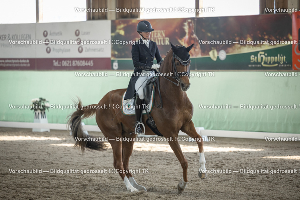 _D5A0085 | Emotionale Pferde- & People-Fotografie rund um Heidelberg, Leimen & Umgebung. Natürliche Fotos von Pferd, Mensch & Familie. Jetzt Termin sichern!