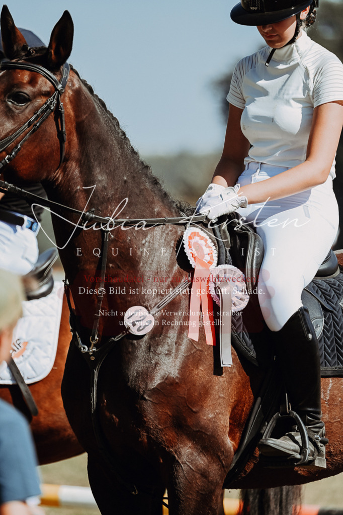 DSC_0149 | Pferde- und Turnierfotografie in Westsachsen. Pferdeportraits, Auftragszeichnungen und intuitive Kunst.