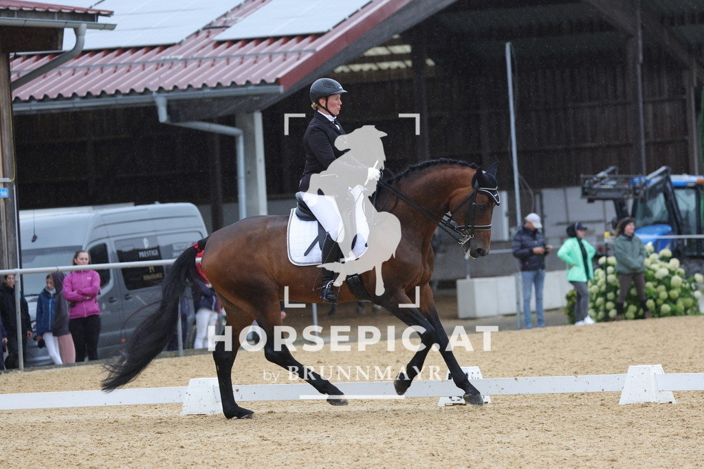 0P6A0807 | Willkommen bei Brunnmayr - Design & Fotografie – Ihrem Spezialisten für Reitturniere und Pferdeveranstaltungen in Oberösterreich, Salzburg und Bayern! Seit über 17 Jahren sind wir leidenschaftlich dabei.