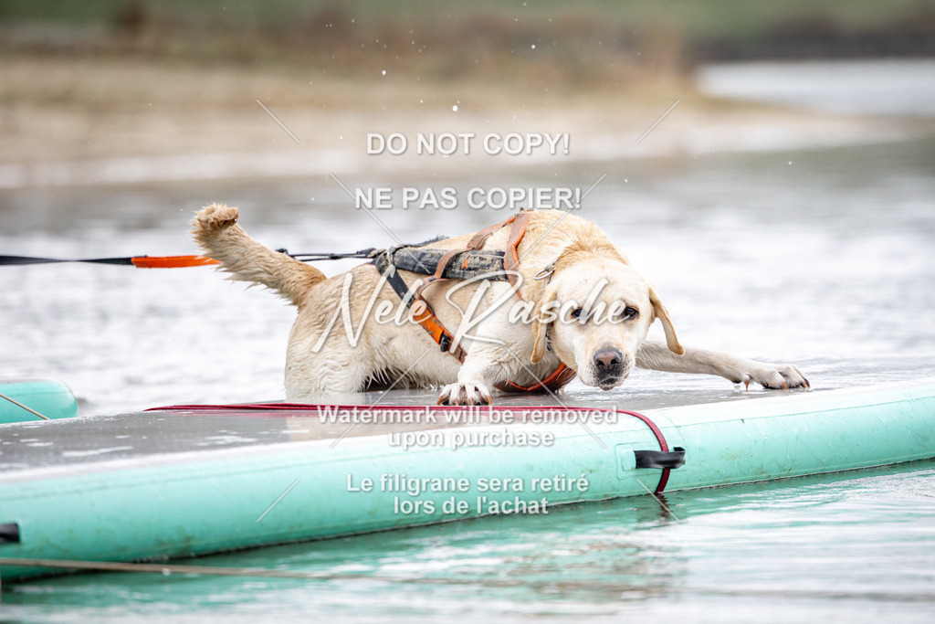 nelerasche_Hulsbeek_Sa1100-1130_460 | nelerasche