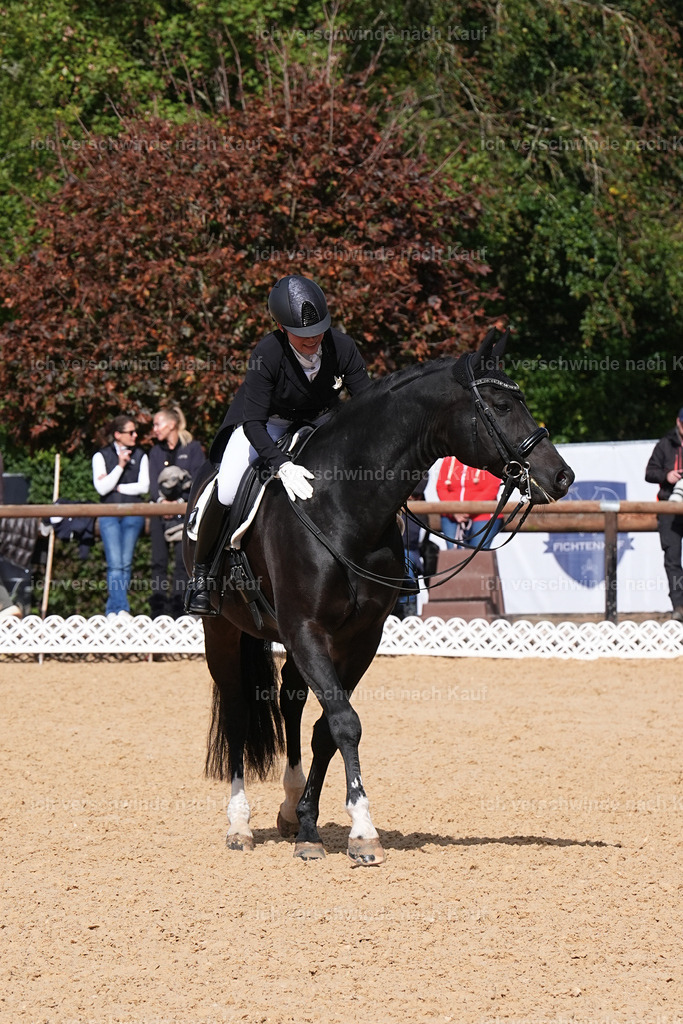 09_2-183-DRESSUR  S_  -Marixx-5996 | working equitationturnier fotograf videograf stoibphotography marixx film working equitation deutschland reitsport turnierfotografie eventfotografie equestrian events