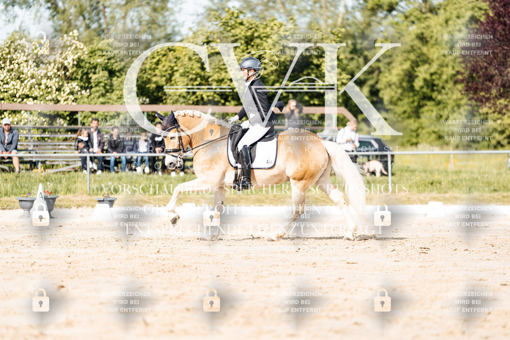 CK900159 | Turnierfotografie Pferdefotografie Trier Rheinland-Pfalz Pferdesport Reitsport Tierfotografie Sportfotografie Pferdevideo Pferdevideografie Equestrianvideography equestrianphotography  - Realisiert mit Pictrs.com