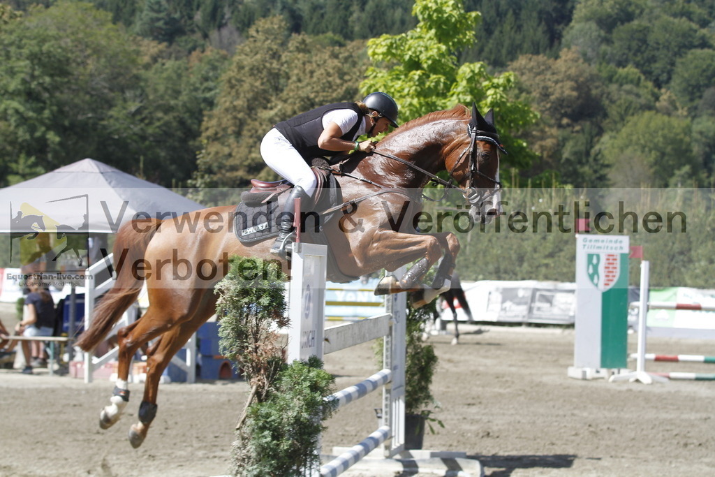 _MG_6428 | equestrian-live-com