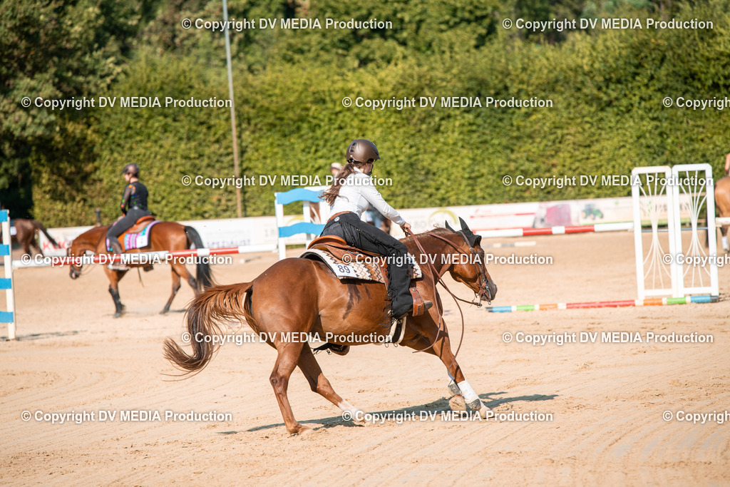 ZS2_8825 | dv-media-shop - Realisiert mit Pictrs.com