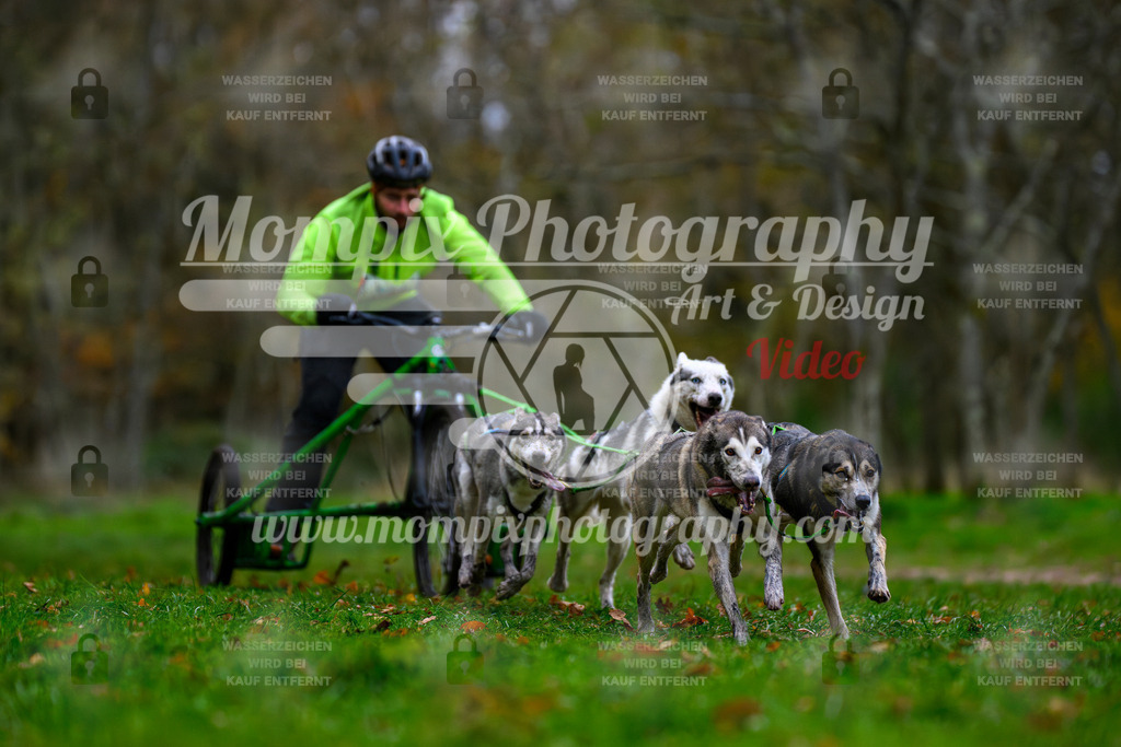 MompixPhotography_Bischwiller24_SA_Kart-4 | PayLife