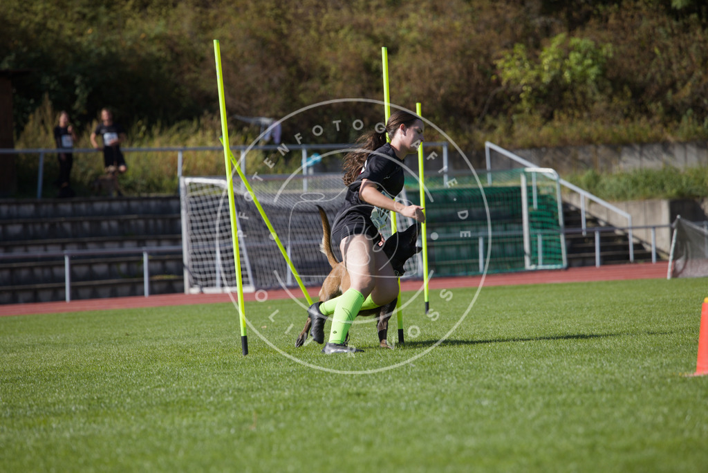 0L8A7469 | Hundefotografie, Tierfotograf, Pfotenfotografie, Fotoshooting Hund, Hunde Portrait, Hundesport, Hundeportraits, Heideshooting, Hunde, Sportfotograf, Hundefotograf, Turnierhundsport, THS,  - Realisiert mit Pictrs.com