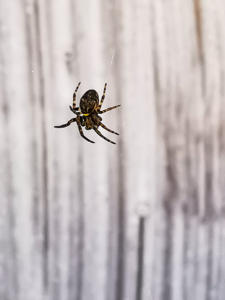 PSX_20230406_234815 | mtkfoto_ - Realisiert mit Pictrs.com