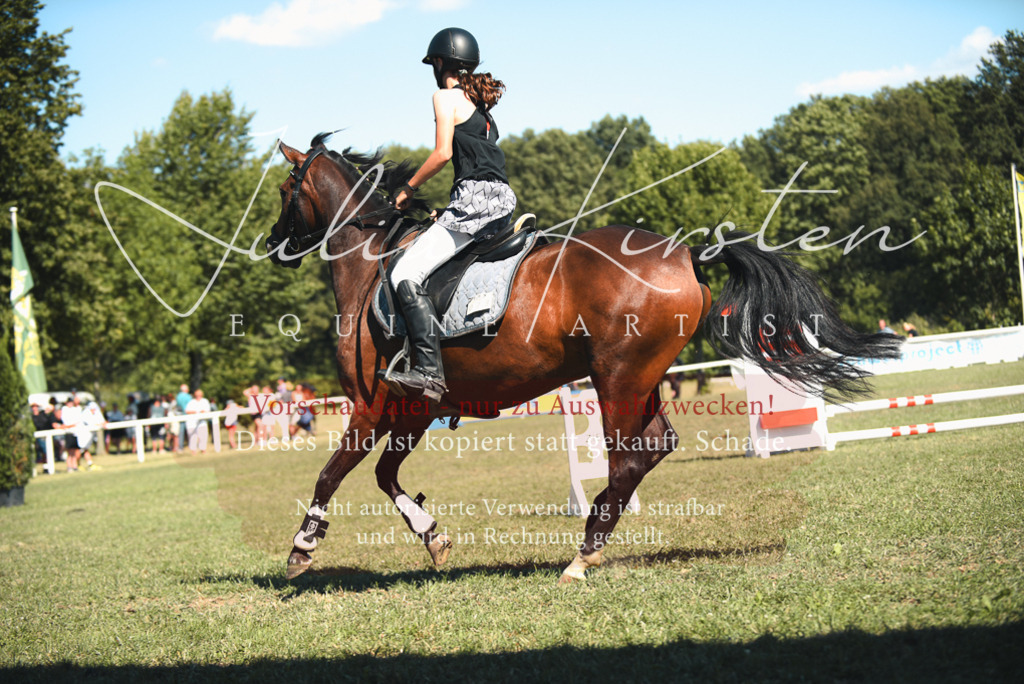 DSC_7457 | Pferde- und Turnierfotografie in Westsachsen. Pferdeportraits, Auftragszeichnungen und intuitive Kunst.